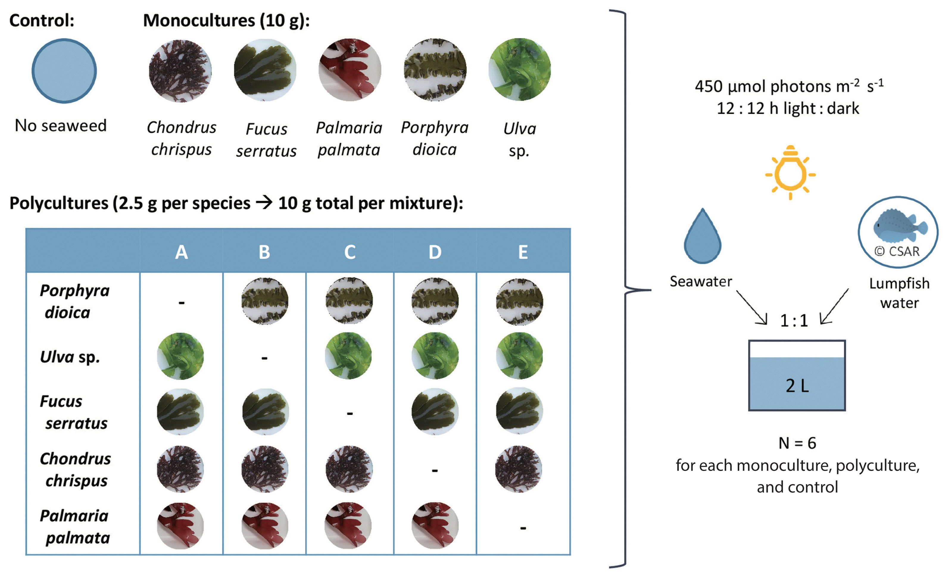 algae-2022-37-3-213f1.gif